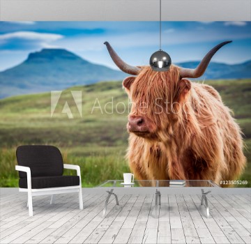 Bild på Furry highland cow in Isle of Skye Scotland